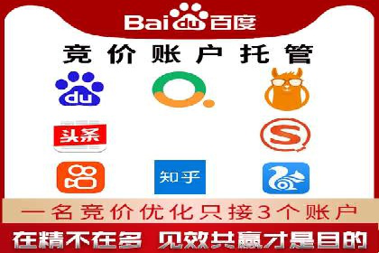 成功SEM推广代运营案例展示